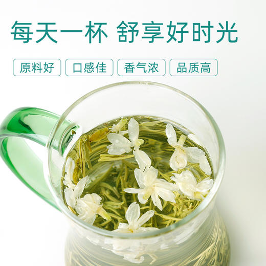 文新茶叶茉莉花茶茉莉毛尖信阳毛尖2023新茶浓香型密封罐装20g 商品图1