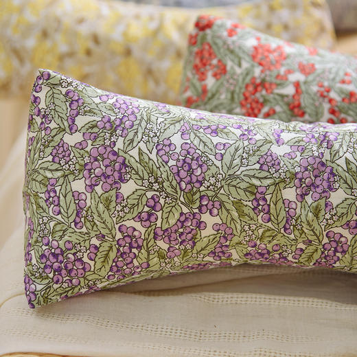 浆果系列三角颈椎枕荞麦壳枕头学生儿童睡眠护颈枕 商品图2