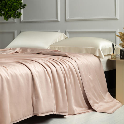 【多样屋专柜】多样屋100%天丝麻蚕丝被夏凉被空调被子双人夏季春秋可机洗夏被芯 商品图1