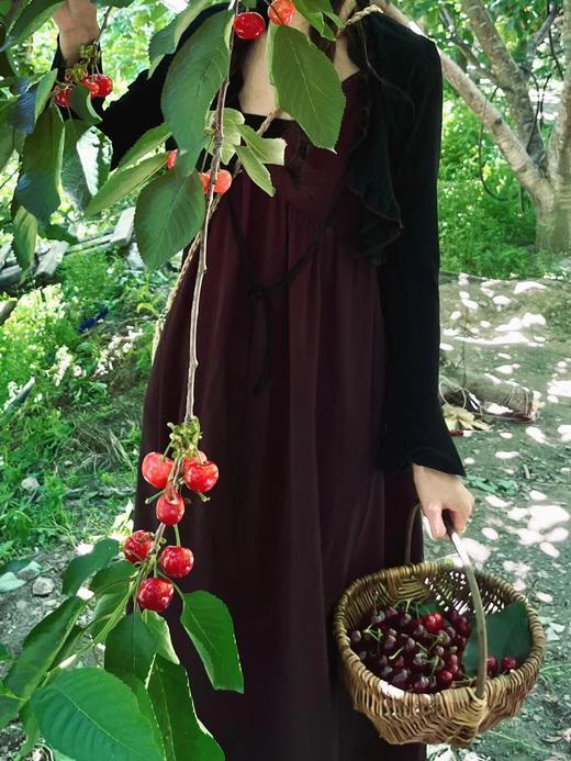 【旅游】汶川车厘子采摘+牟托羌寨一日游 商品图2