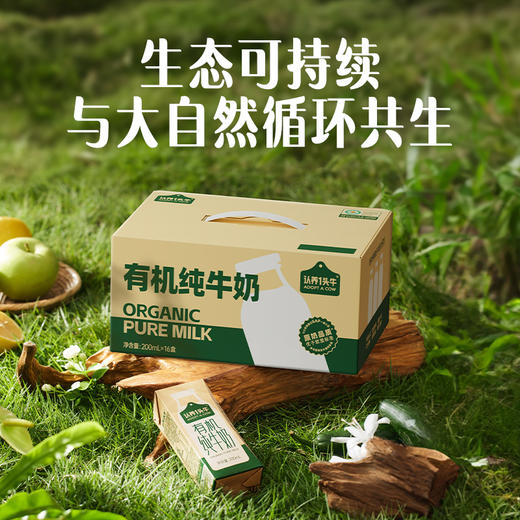 认养一头牛 有机纯牛奶 200ml*16 一提装/两提装 商品图2