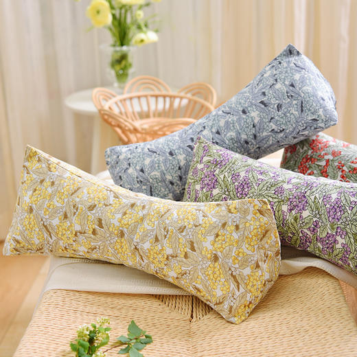 浆果系列三角颈椎枕荞麦壳枕头学生儿童睡眠护颈枕 商品图1