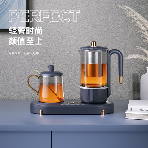 【小家电】迈卡罗MC-YS06B养生壶家用一体多功能电热煮茶器玻璃双壶烧水保温壶办公室 HF 商品图1