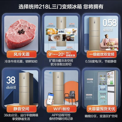统帅（Leader）冰箱 BCD-218WLDPPU1 海尔出品 商品图10