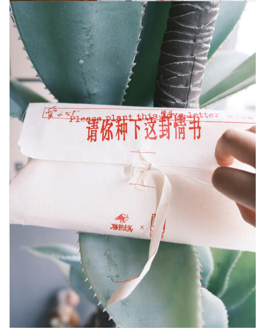 联邦走马新版种子诗集第三弹-请你种下这封情书先锋书店520合作款 商品图9