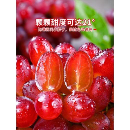 【云南茉莉美人指葡萄】茉莉香葡萄 清脆多汁！口口茉莉香！色泽透亮 营养丰富！新鲜水果当季小提子玫瑰香无籽脆甜红提整箱包邮-LC24GG05 商品图1
