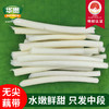【严选】洪湖新鲜藕带现摘现发1斤装/2斤装/3斤装 （厂家直发） 商品缩略图2