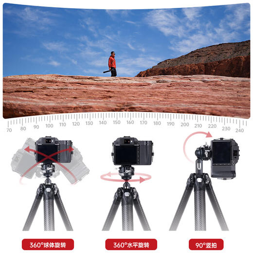Ulanzi优篮子小隼TreeRoot碳纤维三脚架Falcam快锁旅行三脚架F38pro快装专业摄影摄像单反相机支架便携三脚架 商品图5