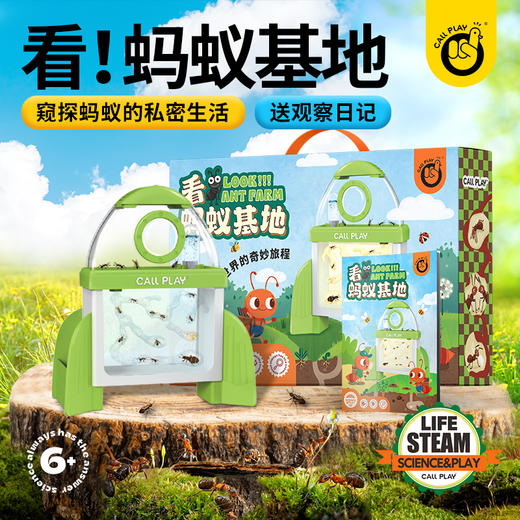 六一破价 自然教育养花 养草 养蚂蚁  盛放吧花房+蚂蚁观察基地+迷你花园种子 商品图4