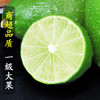 【维C来啦！无籽香水柠檬！】柠檬味超足！酸香四溢！维生素C含量超高！比黄柠檬高10倍还多！味香！多汁！-NM01 商品缩略图2