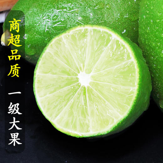 【维C来啦！无籽香水柠檬！】柠檬味超足！酸香四溢！维生素C含量超高！比黄柠檬高10倍还多！味香！多汁！-NM01 商品图2