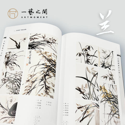 方楚雄教学示范-梅兰竹菊 岭南美术出版社【现货包邮】LM205 商品图4