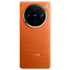 vivo X100 Pro 16GB+512GB 落日橙 蔡司APO超级长焦 蓝晶×天玑9300 5400mAh蓝海电池 自研芯片V3 手机 商品缩略图8