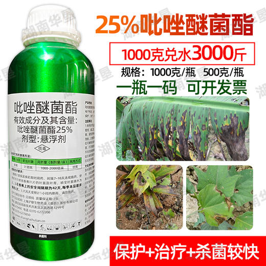 沪联沪润25%吡唑醚菌酯正品香蕉果树通用型防治叶斑病强力杀菌剂 商品图2