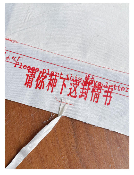 联邦走马新版种子诗集第三弹-请你种下这封情书先锋书店520合作款 商品图8