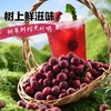 【拍1发10 浓缩冰镇杨梅汁！】生啃杨梅汁！浓郁杨梅汁！独立包装 酸甜可口！杨梅汁浓缩汁果汁果蔬汁冷冲泡袋装冰镇饮品原浆酸梅汤粉喝的饮料-LC24GG10 商品缩略图2