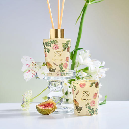 大英博物馆 博物志系列 苏里南 【蒹葭梦泽 【无花果叶】 香薰蜡烛 香氛套装礼盒 商品图2