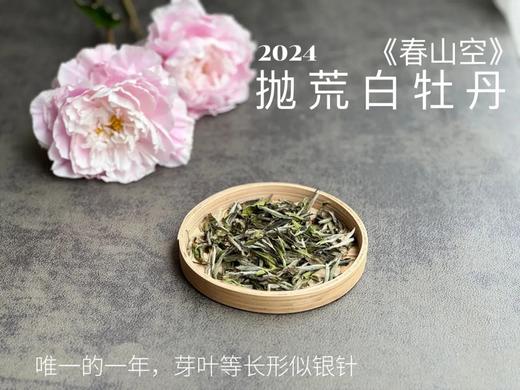 【2024春茶来了】2024抛荒白牡丹《春山空》，干茶长相酷似白毫银针，有史以来等级zui高的抛荒白牡丹 商品图0