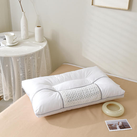 【百富精选】全棉决明子黄荆枕 商品图2