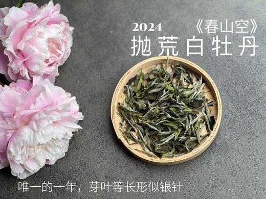 【2024春茶来了】2024抛荒白牡丹《春山空》，干茶长相酷似白毫银针，有史以来等级zui高的抛荒白牡丹（收藏装） 商品图0