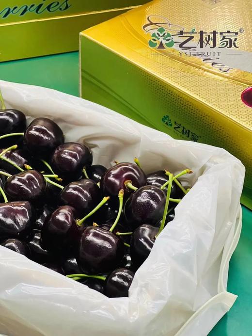 春夏车厘子天花板！俄罗斯巨无霸车厘子 脆甜多汁 超好吃！ 商品图0