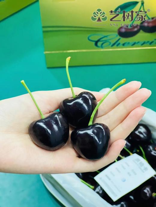 春夏车厘子天花板！俄罗斯巨无霸车厘子 脆甜多汁 超好吃！ 商品图3