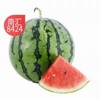 南汇8424西瓜 6kg 商品缩略图1