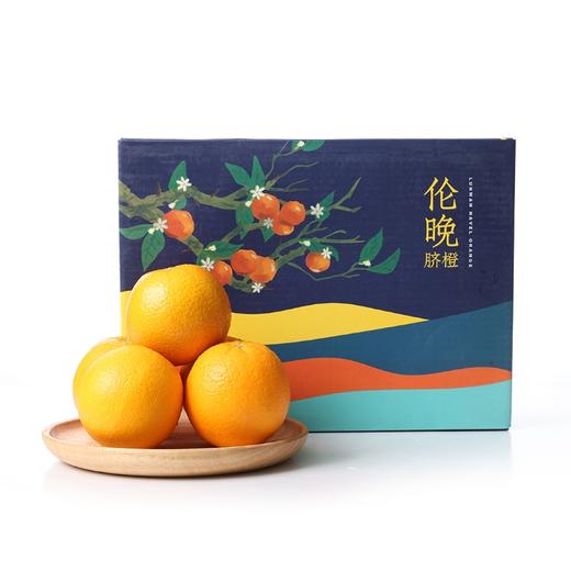 湖北秭归伦晚橙礼盒4.5kg 商品图0