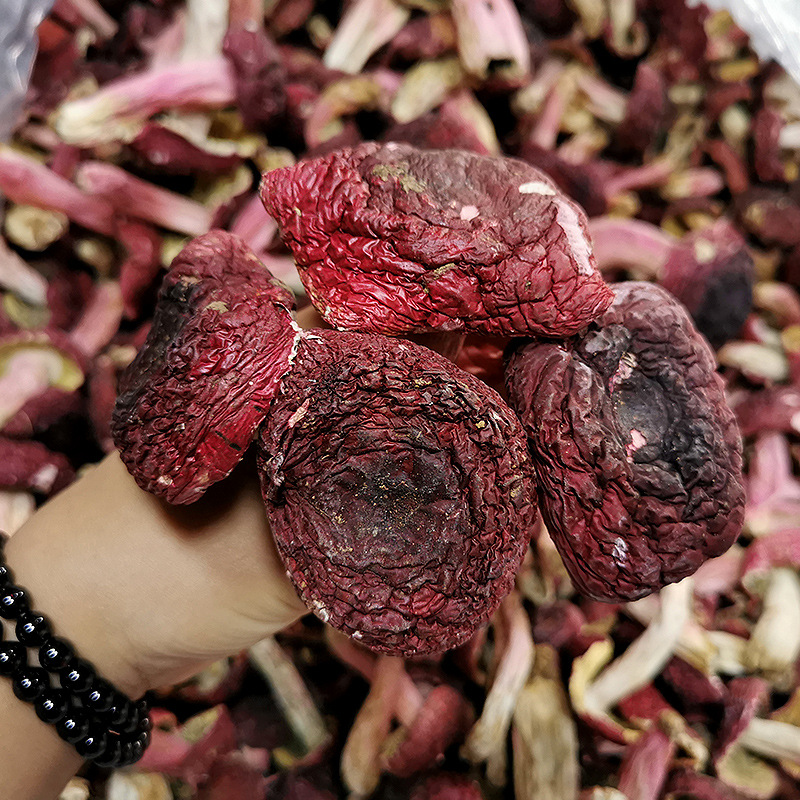 隐岭·野生红菇