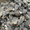 野生羊肚菌 2斤 商品缩略图10