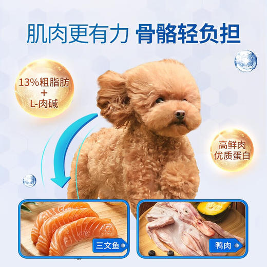 伯纳天纯旗舰老年犬狗粮10kg中大型犬全价老年期专用狗粮 商品图2