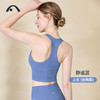2024爱暇步春夏新品运动瑜伽健身文胸A0032NS 商品缩略图2