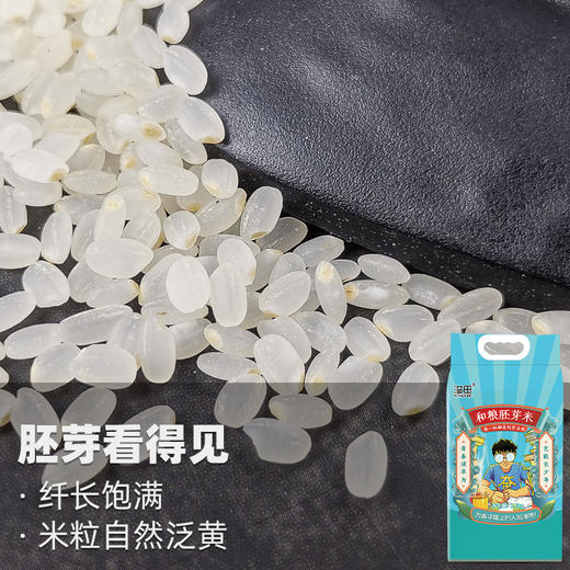 东北胚芽米5斤含胚芽 商品图2