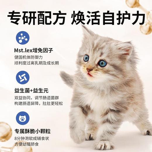 伯纳天纯生鲜super幼猫奶糕猫粮全价鲜肉冻干猫粮2kg 商品图2