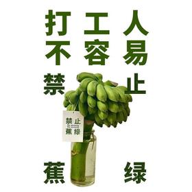 【禁止蕉绿】水培小米蕉约5斤 可水培