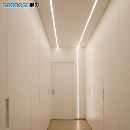 亮丽系列/低压灯带/全光谱 商品图2