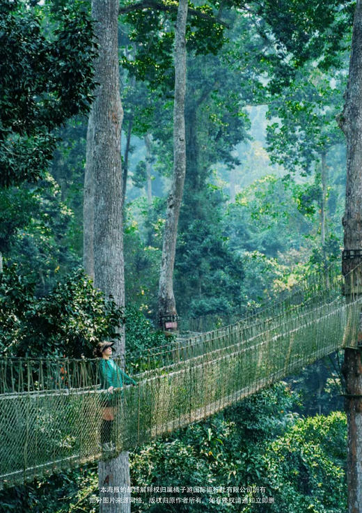 【奢玩西双版纳】西双版纳6日游 商品图1