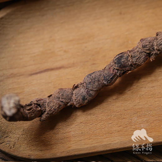 野生茴香菖蒲（山奈） | 合作生产 * Wild Acorus gramineus Soland | Coproduction 商品图3