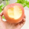 【黄肉红皮】山东晚熟红富士苹果 4.5斤彩箱装 商品缩略图2