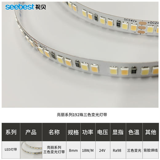 亮丽系列/低压灯带/三色变光 商品图4