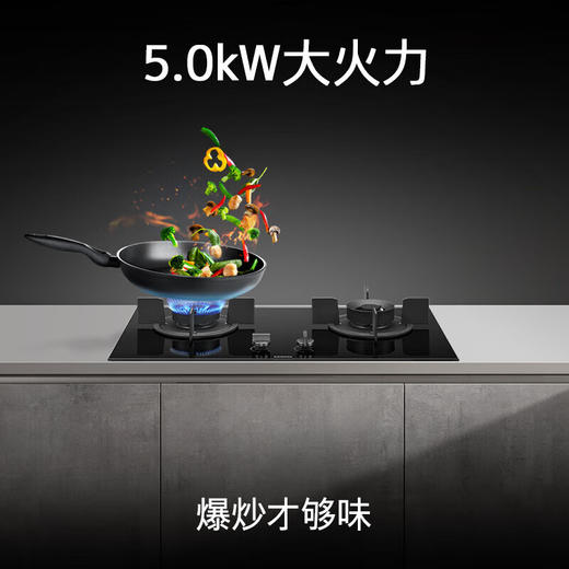 【限天津区域】西门子/灶具/ER88JF23MP 商品图0