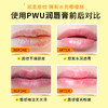 PWU朴物大美保湿润唇膏
（月见柚子）10g+（映日蜜桃）10g 商品缩略图4