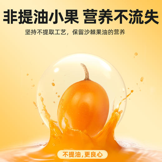 杞里香尝萃300ml（10袋）方盒装沙棘原浆 商品图4