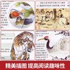 彩色上古心灵智慧三书 商品缩略图5