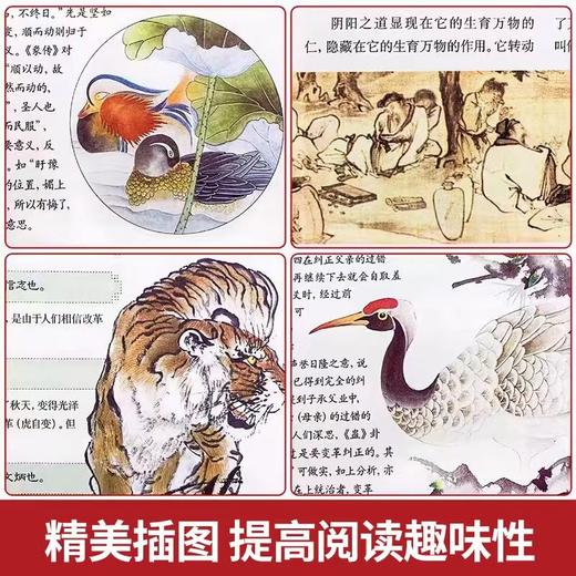 彩色上古心灵智慧三书 商品图5