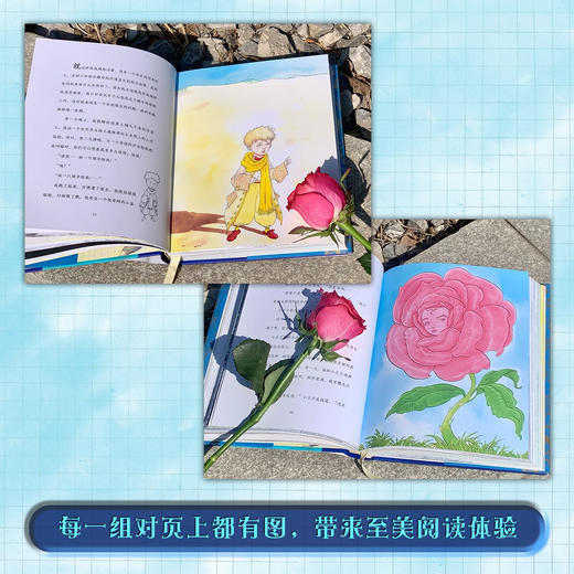 小王子 精装 商品图3