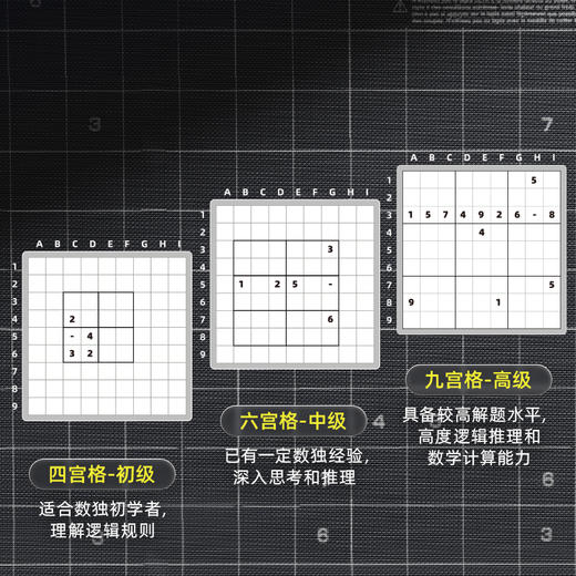 科学罐头 掌机数独乐趣数独智能机 商品图5