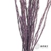 永生花材 | 郁金香紫色 商品缩略图3