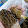 野生羊肚菌 2斤 商品缩略图5