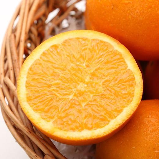 湖北秭归伦晚橙礼盒4.5kg 商品图2